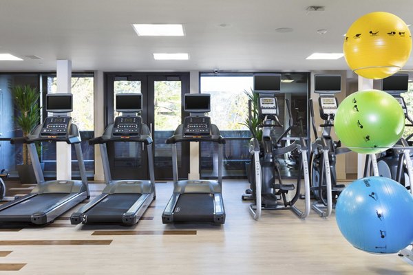 State-of-the-art fitness center at 481 on Mathilda Apartments