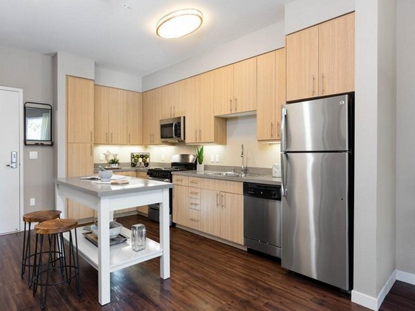 Modern kitchen with stainless steel appliances at 481 on Mathilda Apartments