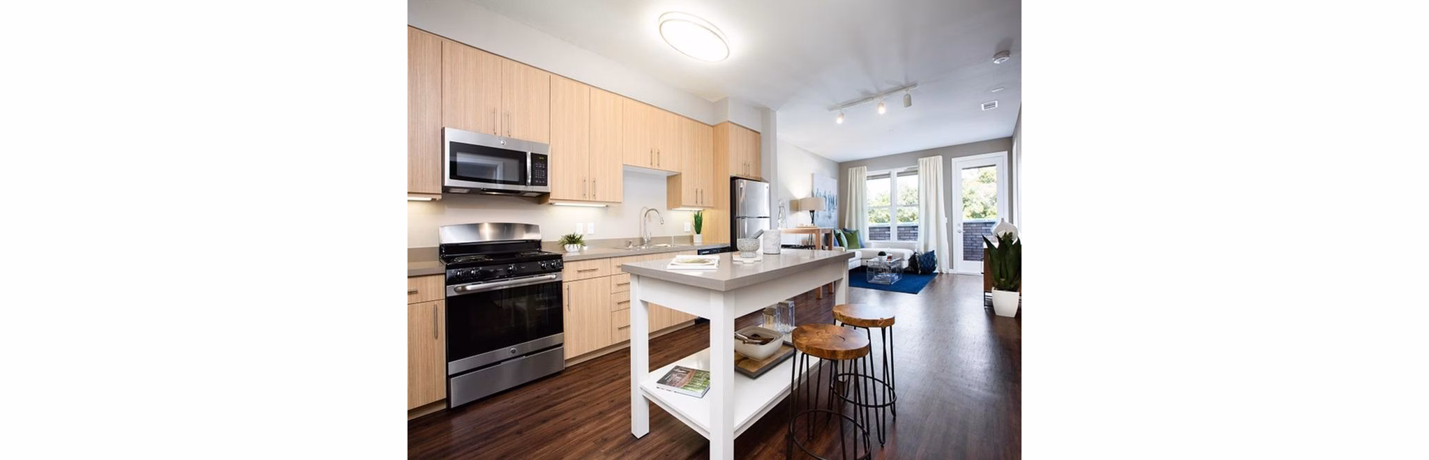 Modern kitchen with stainless steel appliances at 481 on Mathilda Apartments