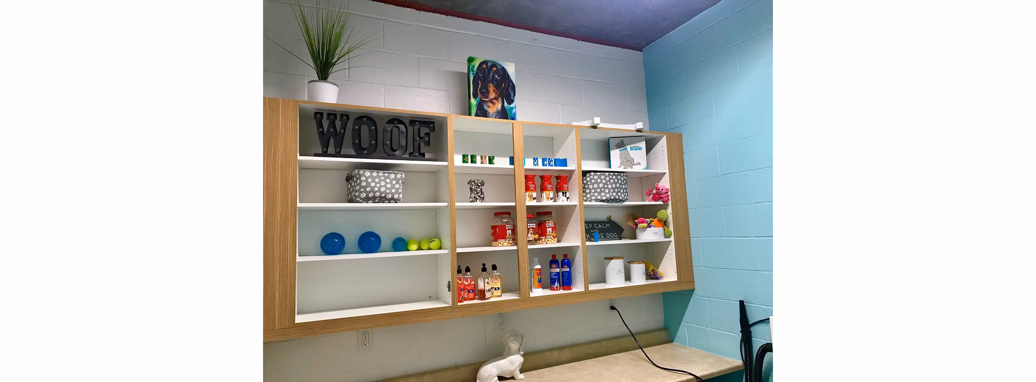 Dog wash station at 481 on Mathilda Apartments: Convenient pet care facility for residents in Greystar's luxury community