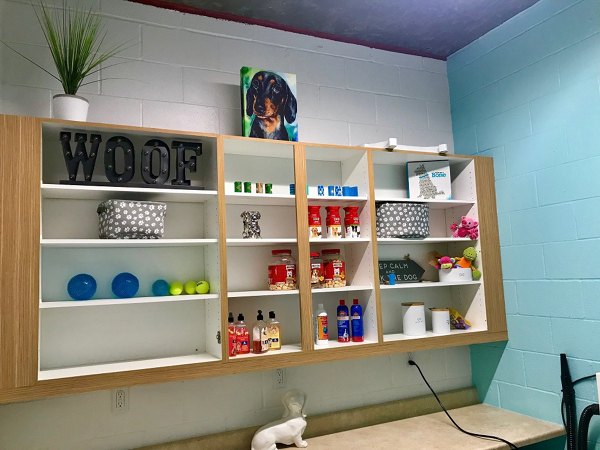 Dog wash station at 481 on Mathilda Apartments: Convenient pet care facility for residents in Greystar's luxury community
