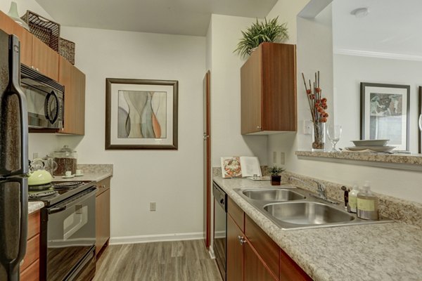 kitchen at Canyons at Saddle Rock Apartments