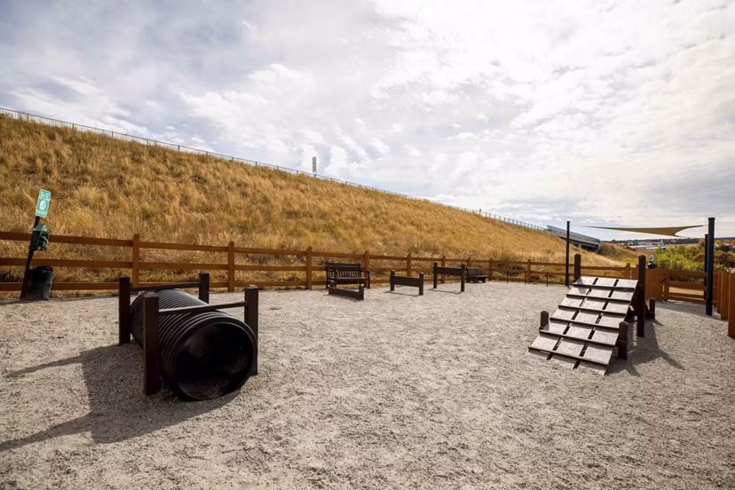 Dog park with agility equipment at Canyons at Saddle Rock Apartments