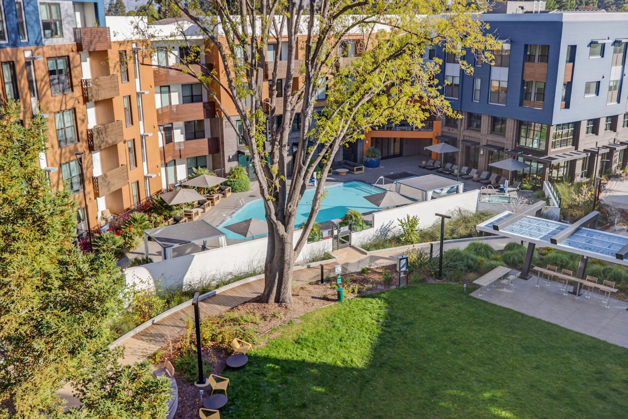 Sevens Luxury Apartment Mountain View Ca 2 of 12