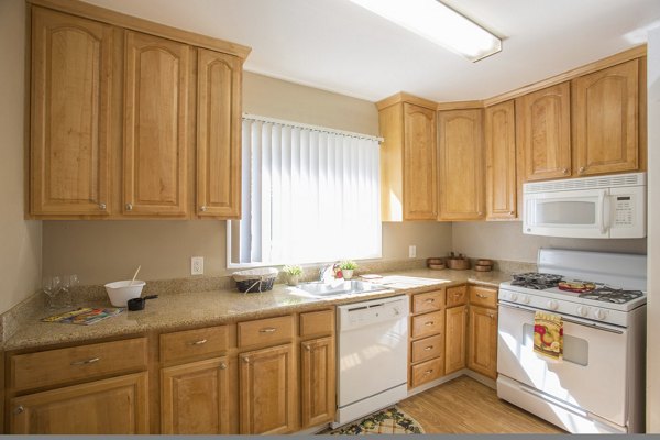 Modern kitchen featuring stainless steel appliances at Woodland Park Apartments