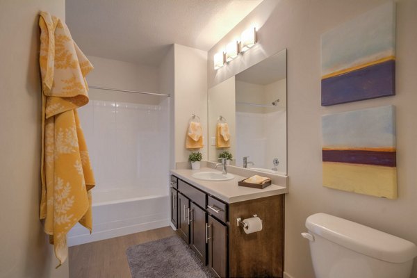 Spacious bathroom with elegant fixtures in Rockwell Village Apartments