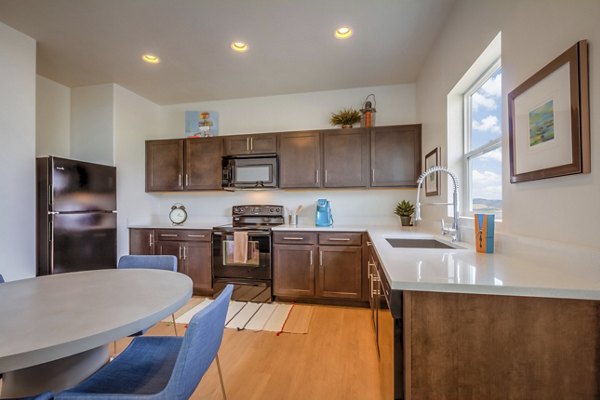 Modern kitchen with stainless steel appliances and sleek countertops at Rockwell Village Apartments