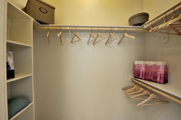 Spacious closet with ample storage at Broadstone Woodmill Creek Apartments in a luxury setting