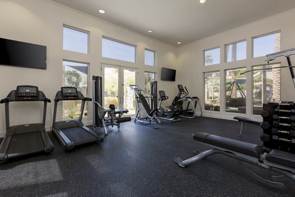 Modern fitness center with advanced gym equipment at Cantera Apartments for an active lifestyle