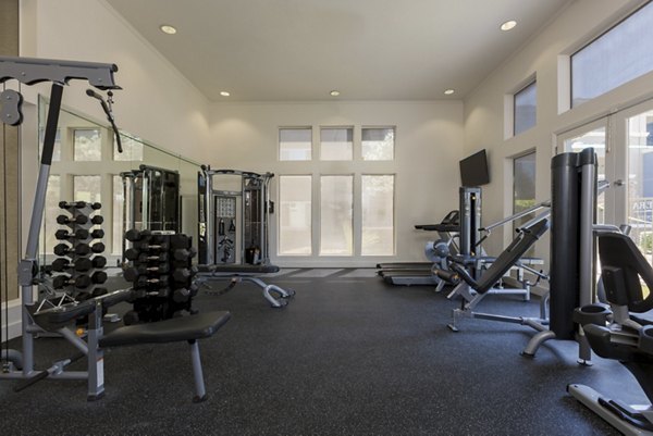 State-of-the-art fitness center with modern equipment at Cantera Apartments