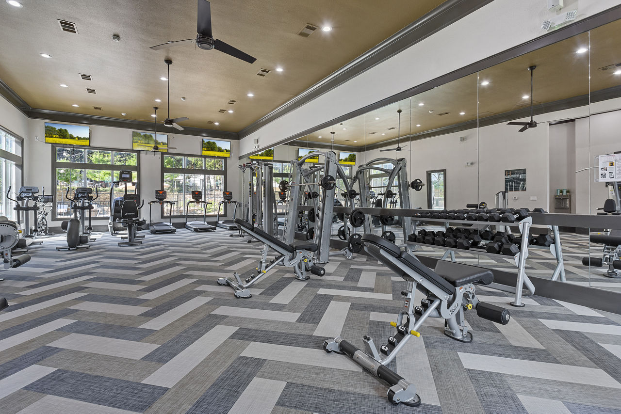 Gym at Harlowe (2 of 2)