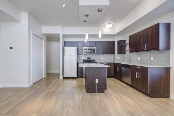 kitchen at 17Walnut Apartments