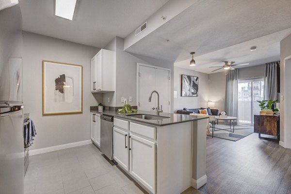 Modern kitchen with stainless steel appliances and granite countertops at The Essex Apartments