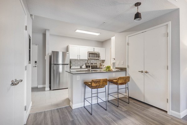 Modern kitchen featuring stainless steel appliances and granite countertops at The Essex Apartments