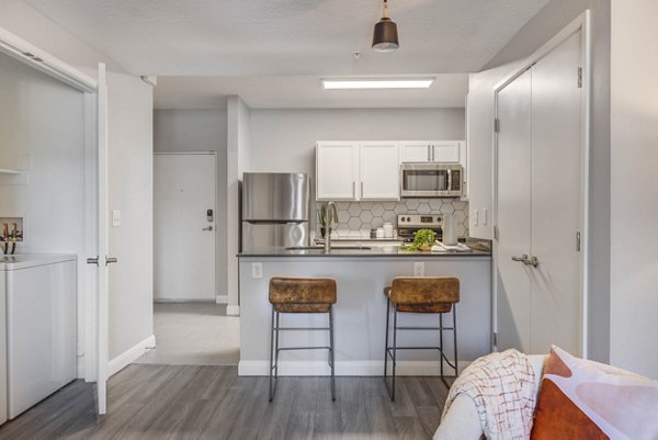 Contemporary kitchen with stainless steel appliances at The Essex Apartments