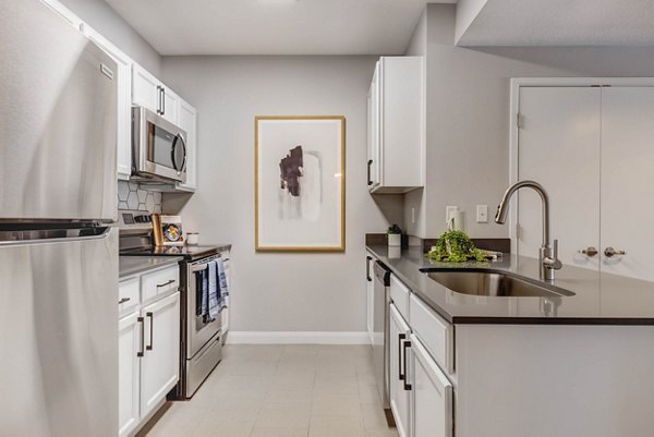 The Essex Apartments: Modern kitchen with stainless steel appliances and granite countertops