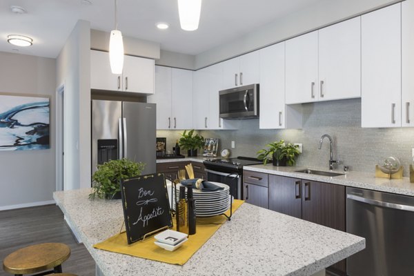 Modern kitchen with stainless steel appliances at The Standard Apartments, a luxury living space in a premier location by Greystar