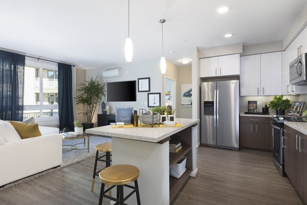 Modern kitchen with stainless steel appliances at The Standard luxury apartments