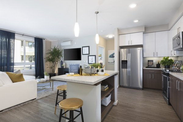 Kitchen at The Standard Apartments