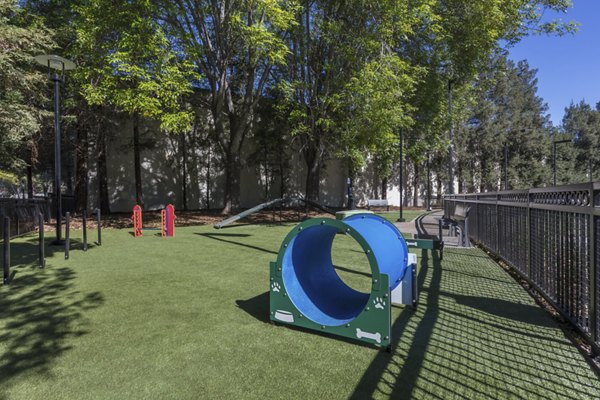 The Standard Apartments: Dog park with agility equipment for residents' pets in a welcoming pet-friendly community
