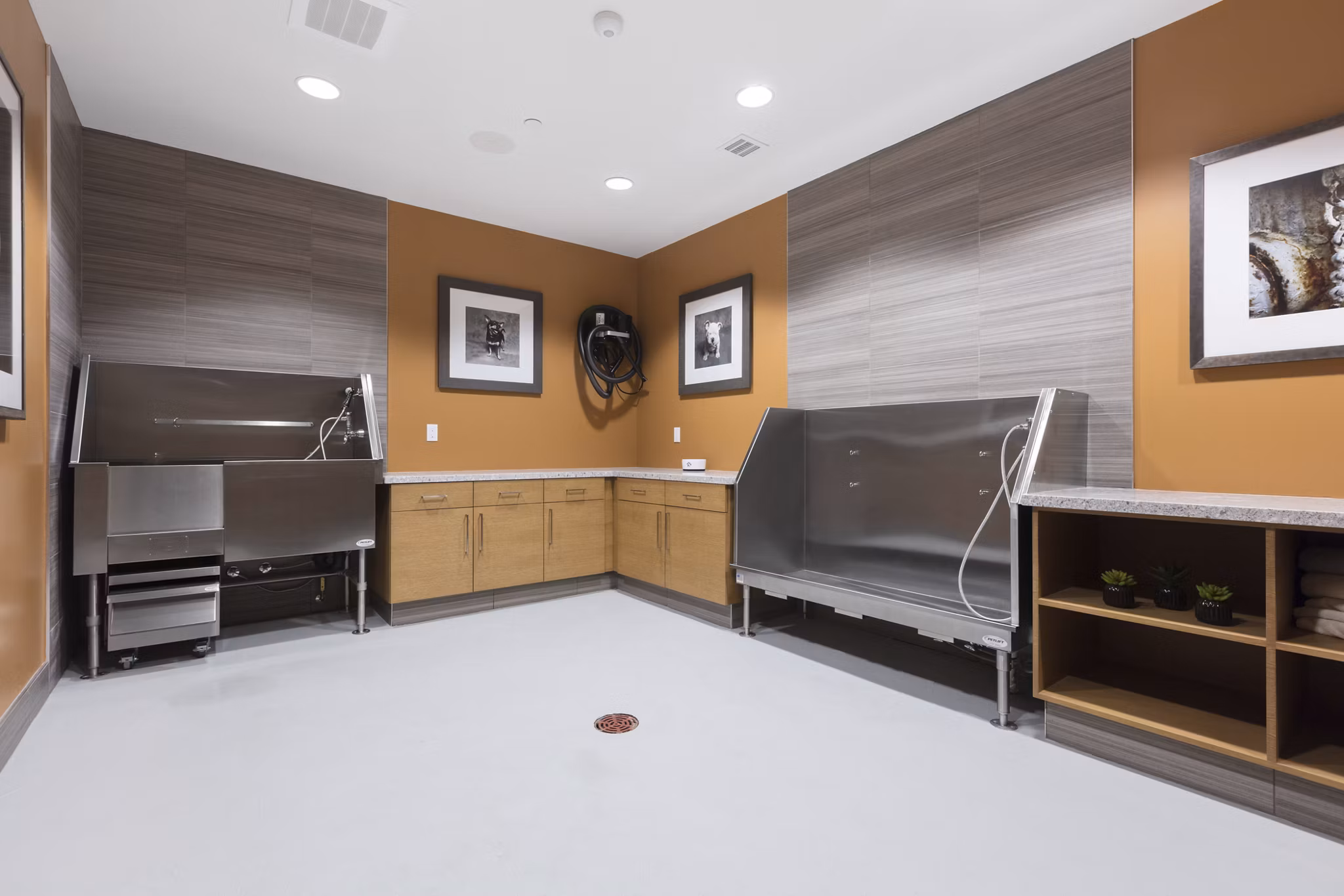 The Standard Apartments: Pet-friendly amenity featuring a modern dog wash station