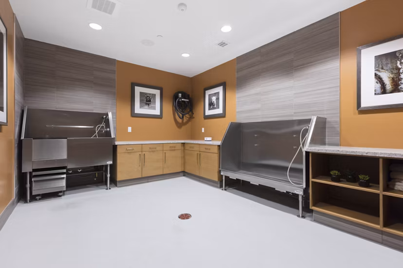 The Standard Apartments: Pet-friendly amenity featuring a modern dog wash station