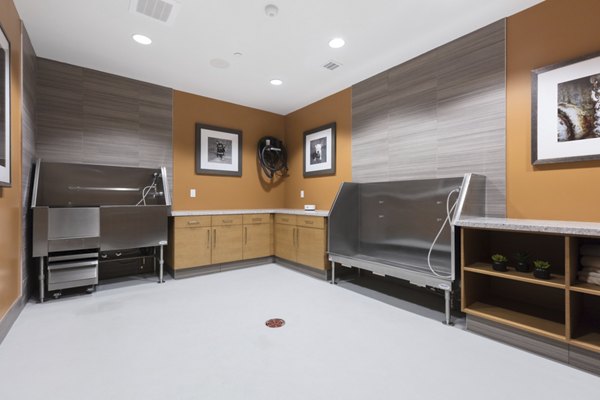 The Standard Apartments: Pet-friendly amenity featuring a modern dog wash station