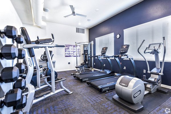 fitness center at Harbor Park Apartments