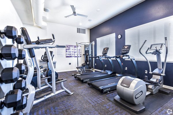 Modern fitness center with state-of-the-art equipment at Harbor Park Apartments luxury community