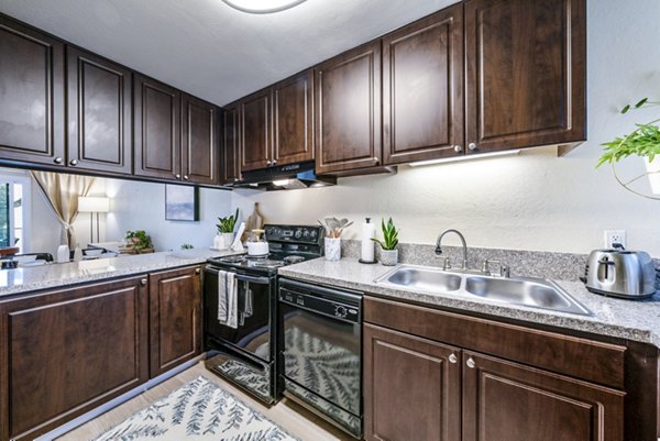 Modern kitchen with stainless steel appliances at Harbor Park Apartments in luxury Greystar community