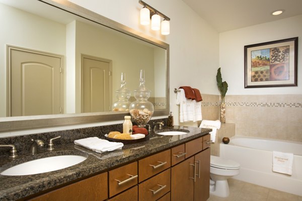 Spacious bathroom with modern fixtures in Braeswood Place Apartments