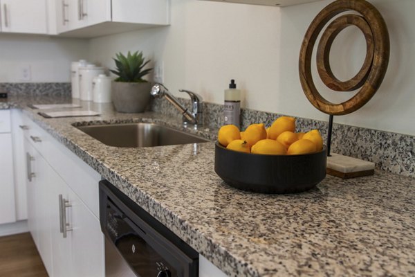Modern kitchen featuring stainless steel appliances and sleek countertops in Blue Oak Apartments
