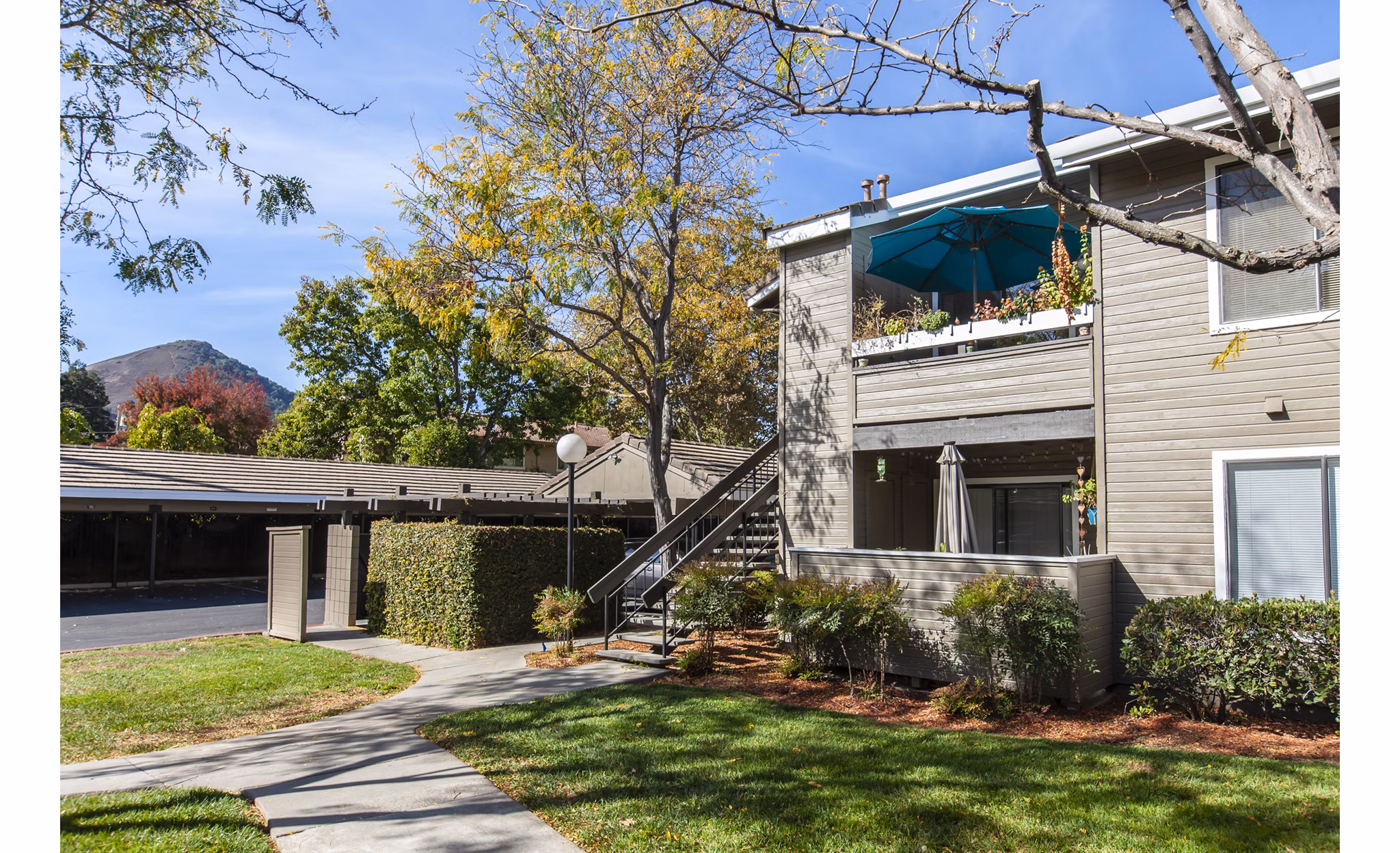 Monte Vista Apartments: Elegant building of luxury residences in a serene neighborhood