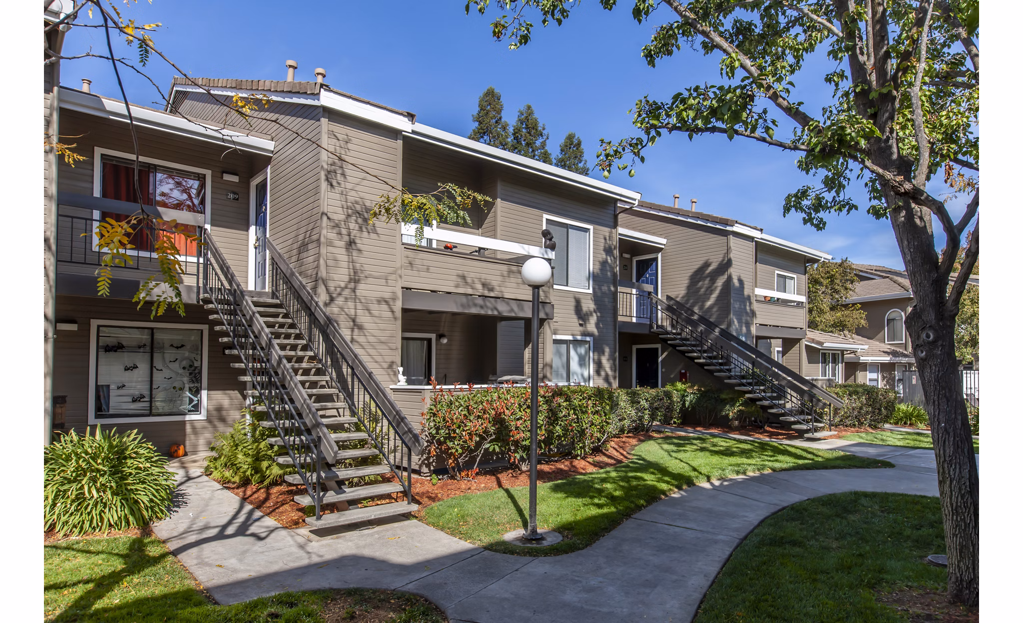 Monte Vista Apartments: Stylish of luxury apartments in a vibrant neighborhood