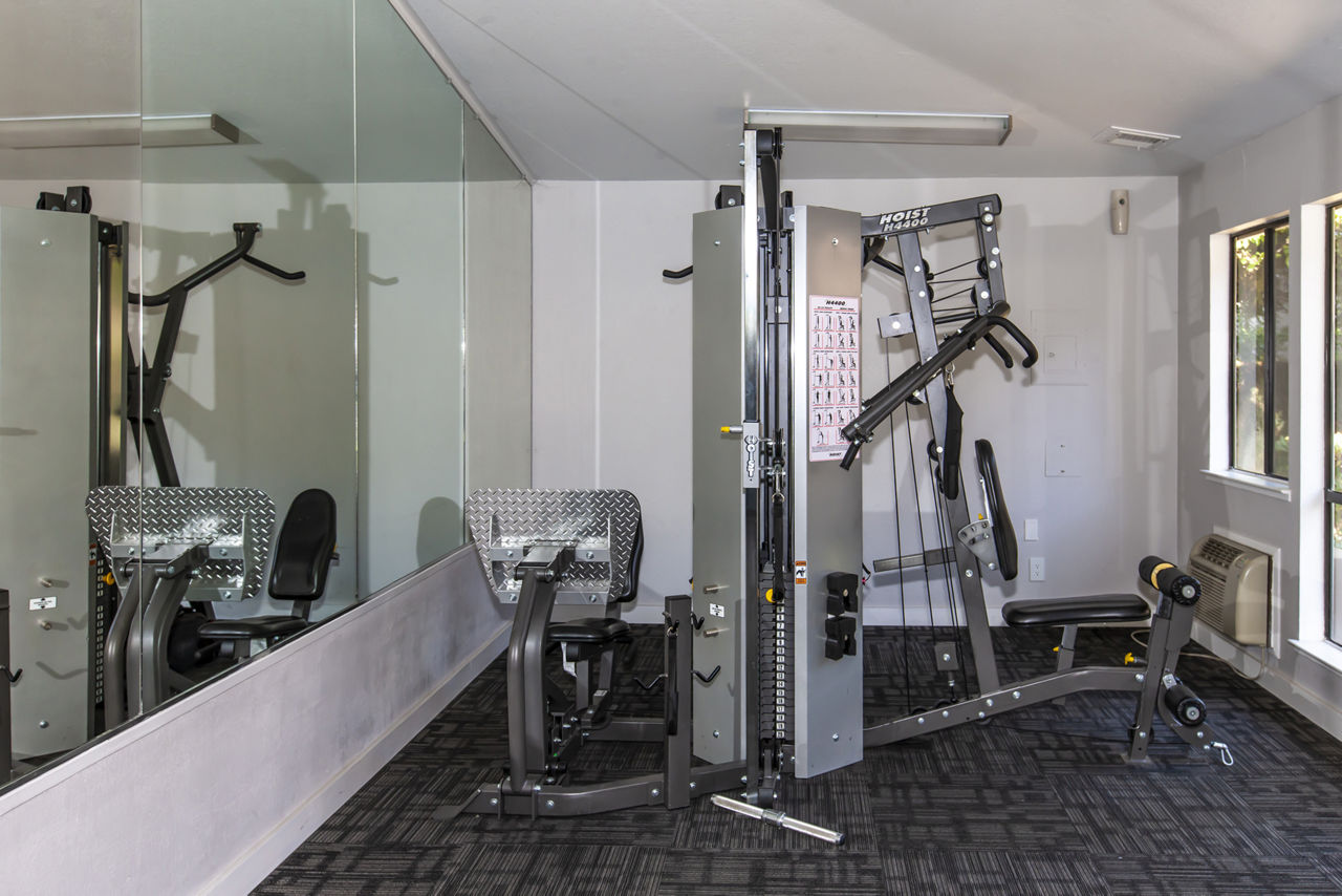 Gym at Monte Vista Apartments (1 of 3)