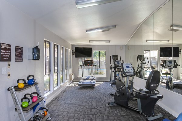 Modern fitness center with state-of-the-art equipment at Monte Vista Apartments