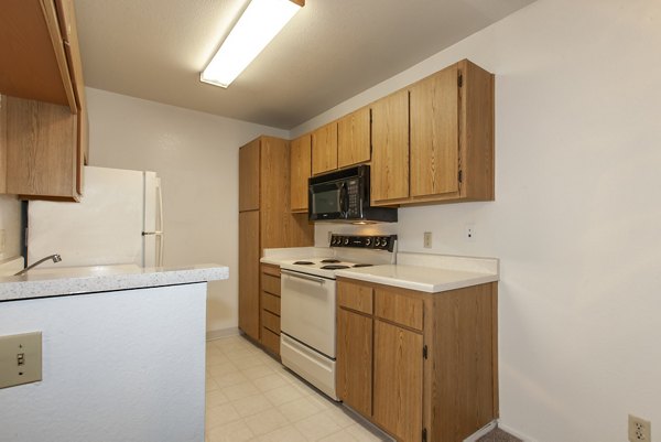 Modern kitchen with stainless steel appliances at Monte Vista Apartments, offering luxury living at Greystar's premium property