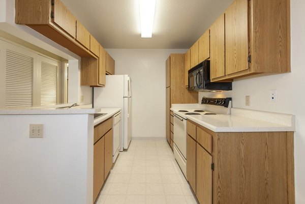 Modern kitchen with sleek cabinetry and stainless-steel appliances at Monte Vista Apartments
