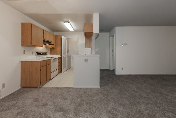 Modern kitchen with stainless steel appliances at Monte Vista Apartments