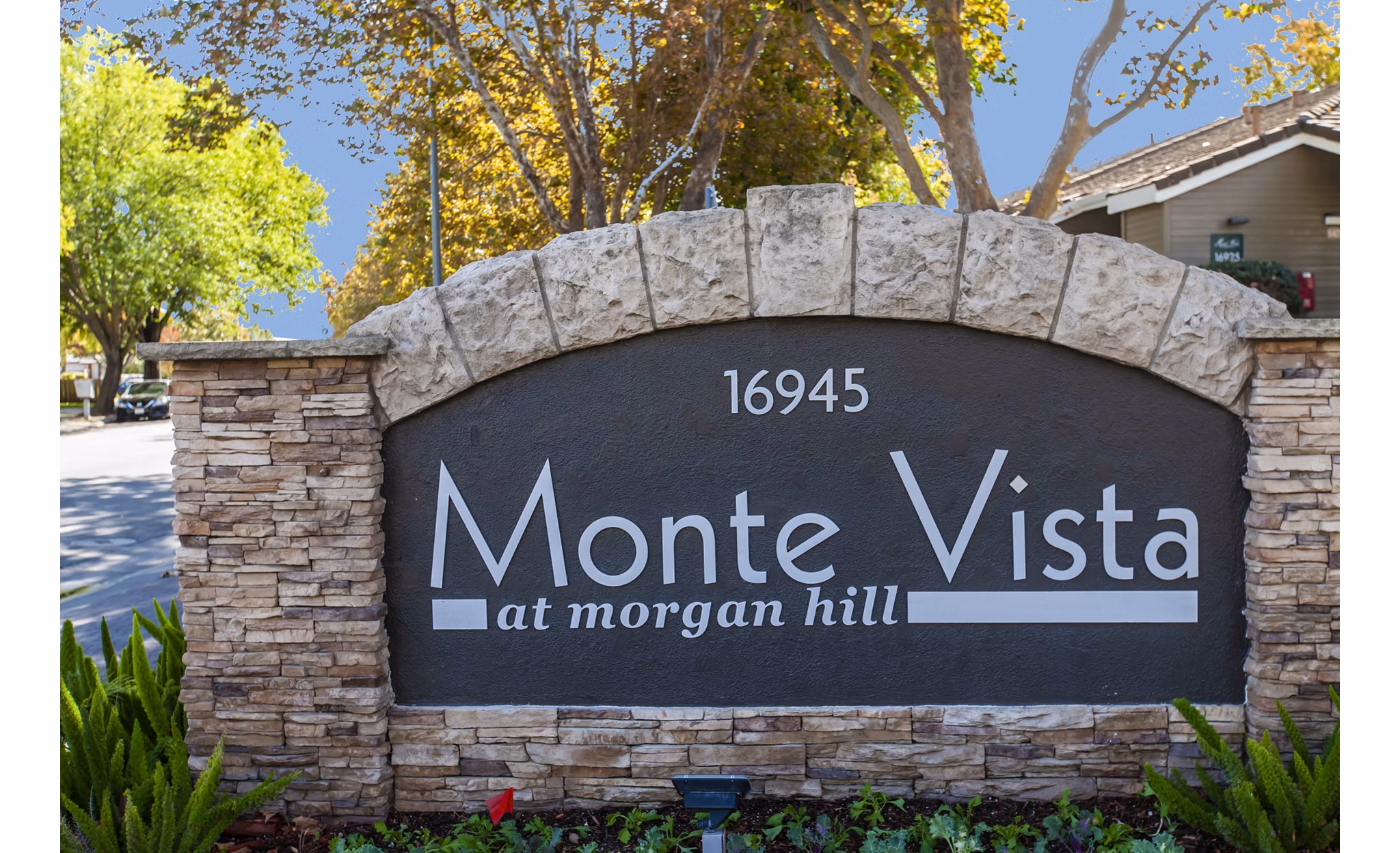 Monte Vista Apartments: Illuminated signage at luxury apartments, offering modern living in a convenient location