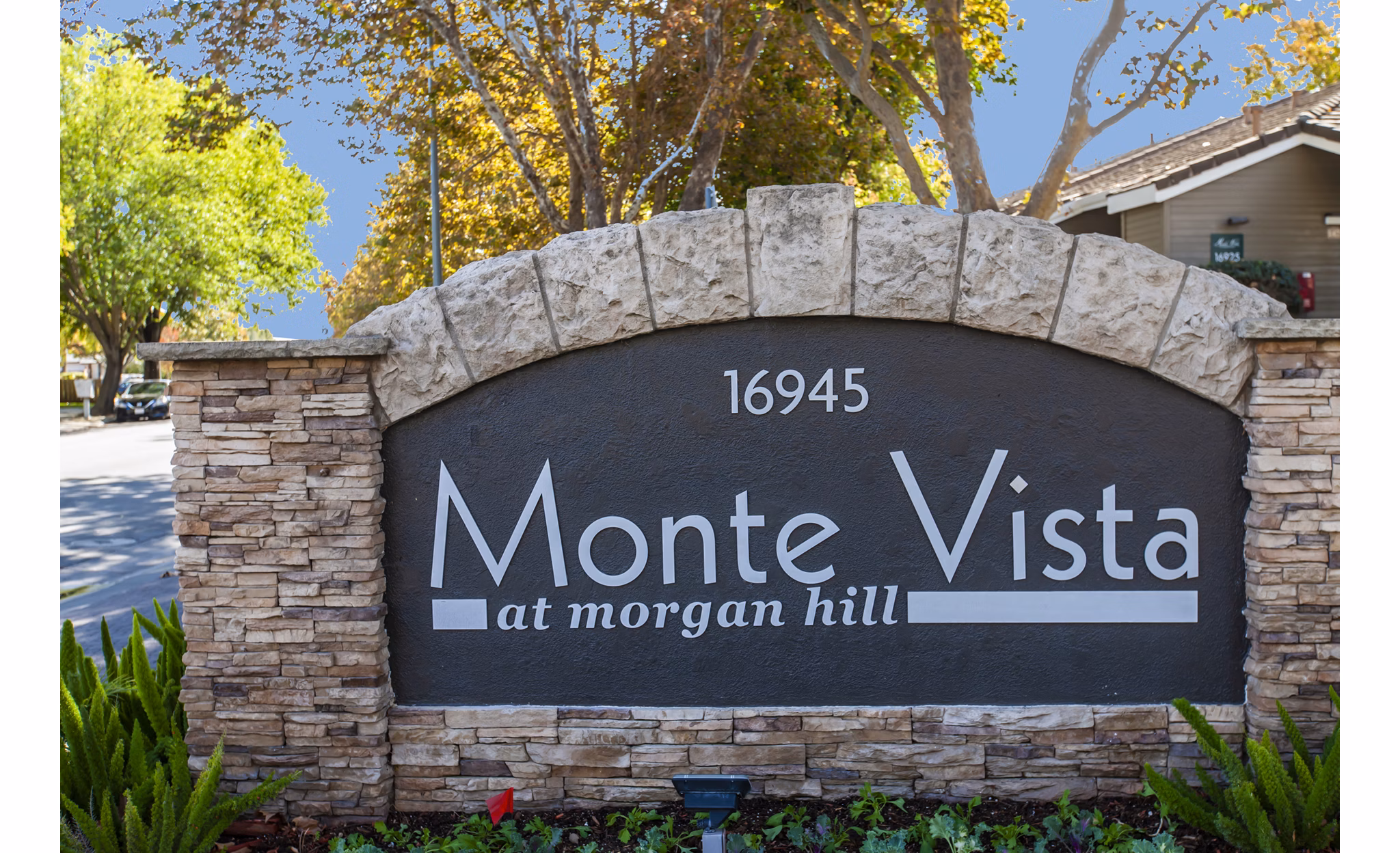 Monte Vista Apartments: Illuminated signage at luxury apartments, offering modern living in a convenient location