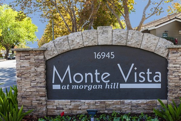 Monte Vista Apartments: Illuminated signage at luxury apartments, offering modern living in a convenient location