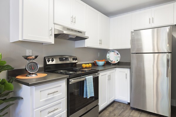 Modern kitchen featuring stainless steel appliances and granite countertops at Brookside Apartments