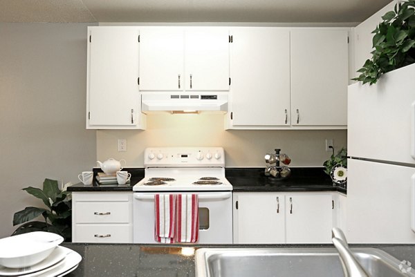 Spacious kitchen with modern appliances in Brookside Apartments