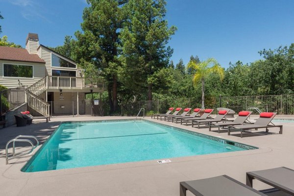Outdoor pool surrounded by lush greenery at Brookside Apartments, offering relaxation and luxury living experiences
