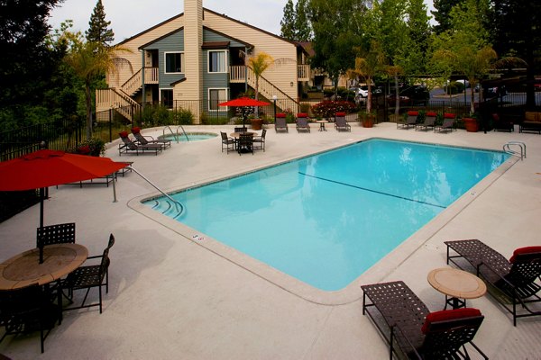 Outdoor pool with lounge chairs at Brookside Apartments, a Greystar luxury community