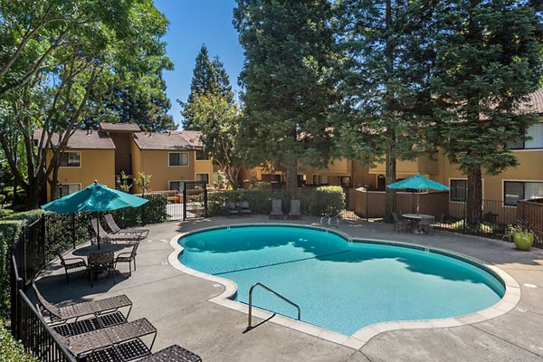 Sparkling pool with shaded lounge area at Mission Pines Apartments, ideal for relaxation and social gatherings