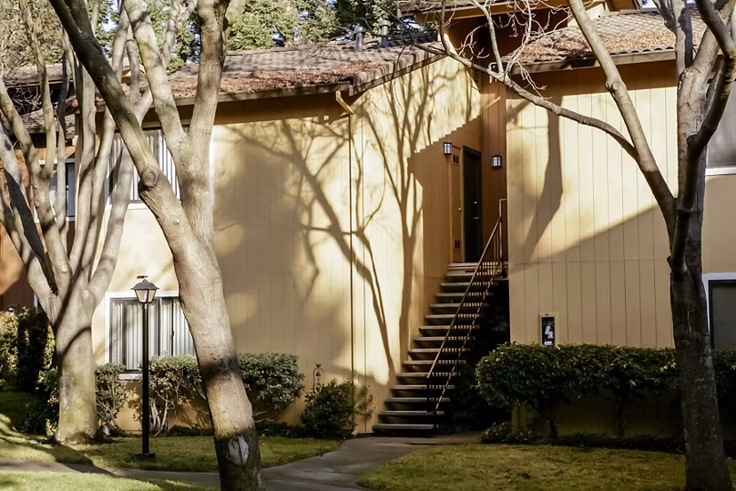 Vista Oaks Apartments: Elegant building showcasing luxurious design near city center