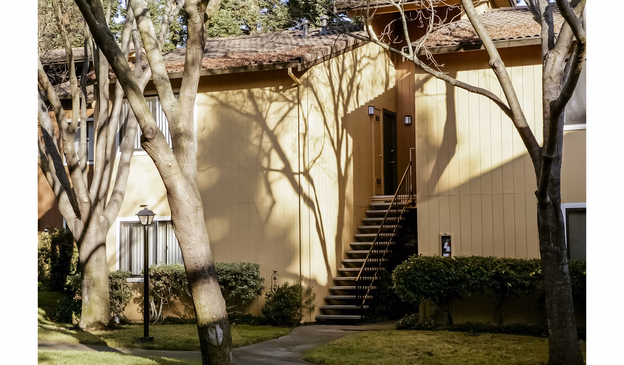 Vista Oaks Apartments: Elegant building showcasing luxurious design near city center