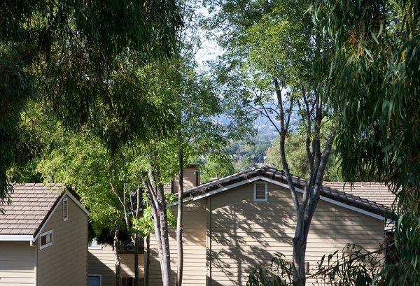 Lime Ridge Apartments: Houses surrounded by trees with scenic mountain views in the background Perfect luxury living environment near nature